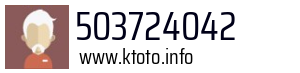 503724042
