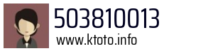 503810013