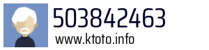 503842463