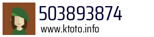 503893874
