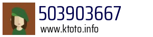 503903667