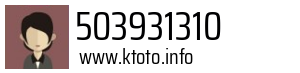 503931310