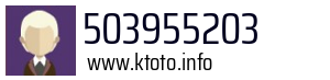 503955203