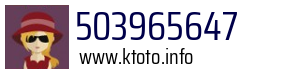 503965647