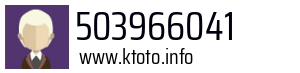 503966041