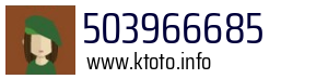 503966685