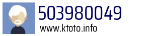 503980049
