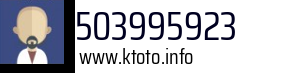 503995923