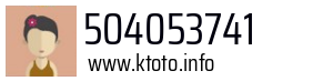 504053741