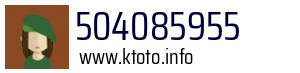 504085955