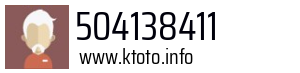504138411