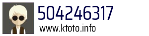 504246317