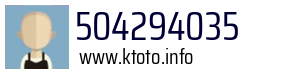 504294035