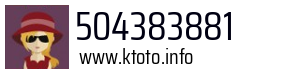 504383881