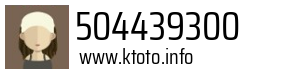 504439300