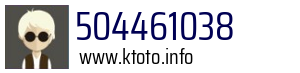 504461038