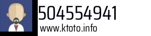 504554941