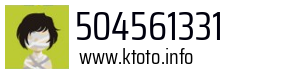 504561331