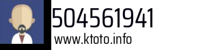 504561941