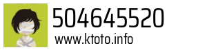 504645520