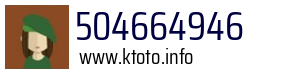 504664946