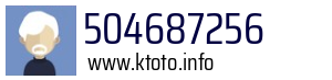 504687256