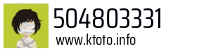 504803331