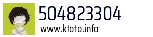 504823304
