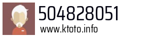 504828051