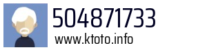504871733