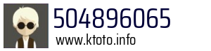 504896065