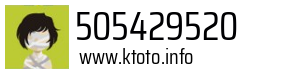 505429520