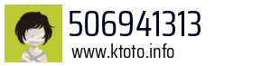 506941313