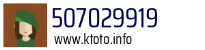 507029919