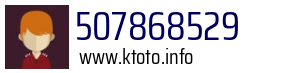 507868529