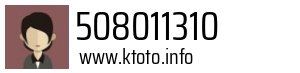 508011310