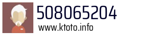 508065204