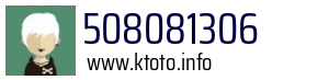 508081306