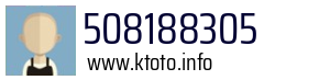 508188305