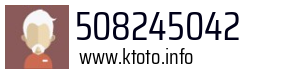 508245042