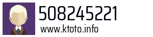 508245221