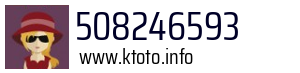 508246593