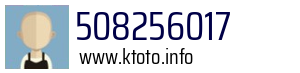 508256017