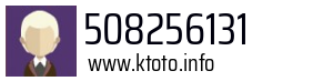 508256131