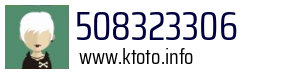 508323306