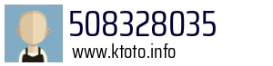 508328035
