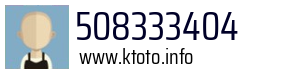 508333404
