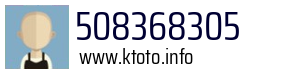508368305