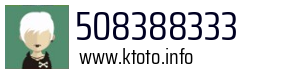 508388333
