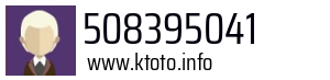 508395041
